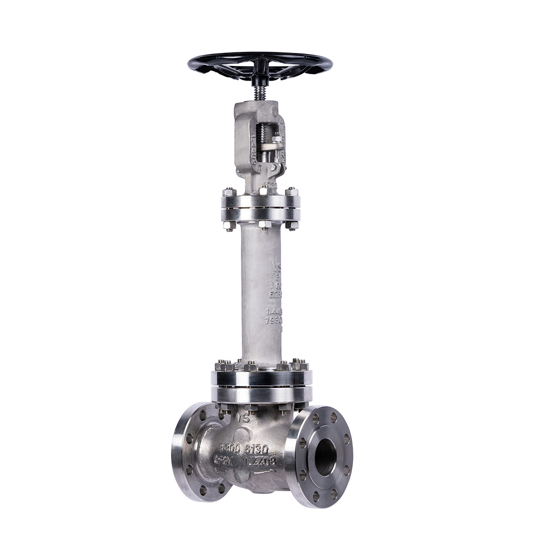 Cryogenic globe valves
